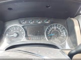 Ford F-150 Xlt 1FTFW1CT9DKD77781 снимка