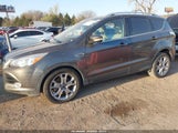 Ford Escape Titanium 1FMCU0J93FUB92994 снимка