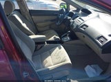 Miniaturka zdjęcia 5