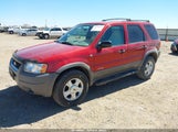 Ford Escape Xlt 1FMCU04161KF77699 fotografie