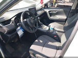 Toyota Rav4 Xle JTMW1RFV9KD028051 снимка