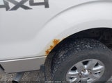 Ford F-150 Xlt 1FTFW1EF4DFB43080 снимка