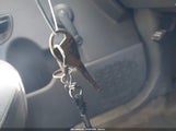 Miniaturka zdjęcia 11