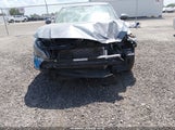 Miniaturka zdjęcia 6