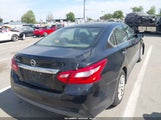 Nissan Altima 2.5/2.5 S/2.5 Sl/2.5 Sr/2.5 Sv 1N4AL3AP5GN347240 photo