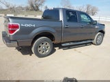 Ford F-150 Fx4/Harley-Davidson/King Ranch/Lariat/Platinum/Xl/Xlt 1FTFW1EV6AFD66594 fotografie