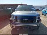 Ford F-150 Fx4/Harley-Davidson/King Ranch/Lariat/Platinum/Xl/Xlt 1FTFW1EV6AFD66594 снимка