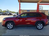 Toyota Rav4 Xle 2T3W1RFV1MW141756 photo
