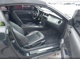 Ford Mustang Gt/Gt Premium 1ZVBP8FH5A5177421 photo