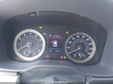 Miniaturka zdjęcia 7