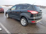 Miniaturka zdjęcia 3