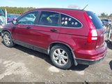 Honda Cr-V Se 5J6RE4H47BL044144 снимка