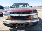 Miniaturka zdjęcia 6
