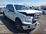 Ford F-150 Xlt 1FTEW1EG4GFB29091 снимка