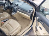 Honda Cr-V Ex-L JHLRE48739C000560 photo