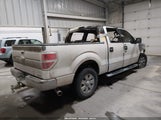 Ford F-150 Xlt 1FTFW1EF5BKE09937 снимка