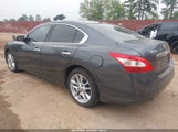 Nissan Maxima 3.5 Sv 1N4AA51E69C829892 снимка