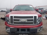 Ford F-150 Fx4/King Ranch/Lariat/Platinum/Xl/Xlt 1FTPW14V09FB32677 fotografie