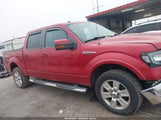 Ford F-150 Fx4/King Ranch/Lariat/Platinum/Xl/Xlt 1FTPW14V09FB32677 photo
