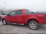 Ford F-150 Fx4/King Ranch/Lariat/Platinum/Xl/Xlt 1FTPW14V09FB32677 fotografie