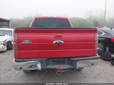 Ford F-150 Fx4/King Ranch/Lariat/Platinum/Xl/Xlt 1FTPW14V09FB32677 photo
