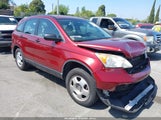 Honda Cr-V Lx JHLRE38337C021784 снимка