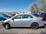 Toyota Corolla Le 2T1BU4EE2DC051780 снимка
