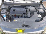 Hyundai Sonata Sport 5NPE34AF8GH423090 fotografie