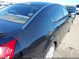 Nissan Maxima 3.5 Se 1N4BA41E88C839255 снимка