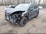 Subaru Forester Wilderness JF2SKAJC8RH418162 снимка