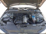 Audi A4 2.0T Premium WAUFFAFLXDN017443 снимка
