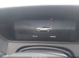 Miniaturka zdjęcia 7