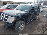 Dodge Nitro Se 1D8GU28K39W550020 fotografie