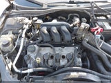 Ford Fusion Sel 3FAHP08139R102486 снимка