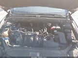 Miniaturka zdjęcia 10