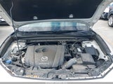 Miniaturka zdjęcia 10