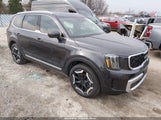 Kia Telluride Ex 5XYP3DGC9SG632294 photo
