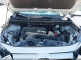 Toyota Rav4 Xle 2T3P1RFV4PW407831 photo