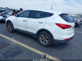 Hyundai Santa Fe Sport 2.4L 5XYZT3LB0GG336975 fotografie