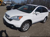Honda Cr-V Ex-L 5J6RE48729L050843 fotografie