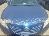 Toyota Camry Xle JTNBE46K973106896 снимка