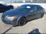 Acura Tl 19UUA66216A065423 снимка