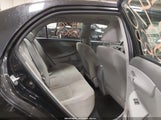 Miniaturka zdjęcia 8