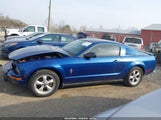 Ford Mustang V6 Deluxe/V6 Premium 1ZVHT80N275207181 fotografie