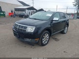 Lincoln Mkx 2LMDU88C79BJ04399 fotografie