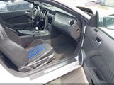 Ford Shelby Gt500 1ZVBP8JZXE5249090 fotografie