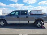 Ford F-150 Fx4/King Ranch/Lariat/Platinum/Xl/Xlt 1FTPW14V49KC53137 снимка