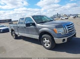 Ford F-150 Fx4/King Ranch/Lariat/Platinum/Xl/Xlt 1FTPW14V49KC53137 fotografie