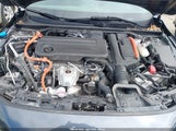Miniaturka zdjęcia 10