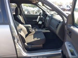 Ford Escape Xlt 1FMCU0DG1CKA78039 fotografie